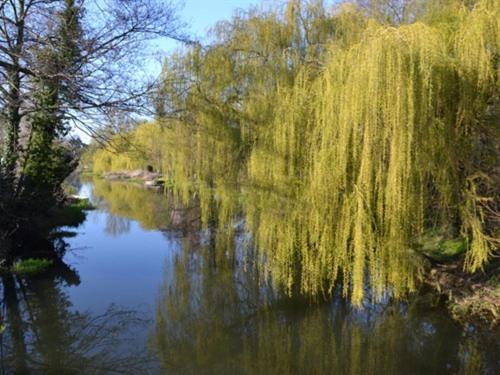 Bridge House B&B Coltishall エクステリア 写真